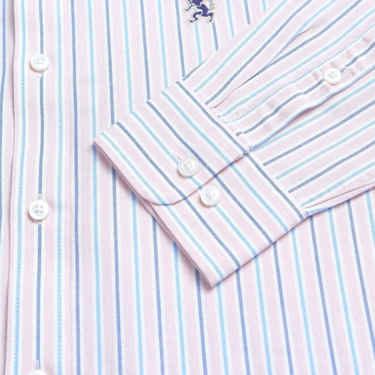 Men's Cotton Slim Oxford Shirt With Embroidery