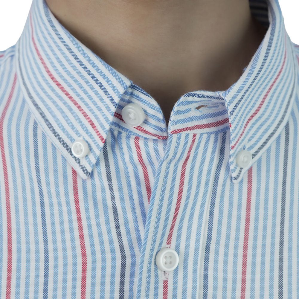 Men's Cotton Slim Oxford Shirt With Embroidery