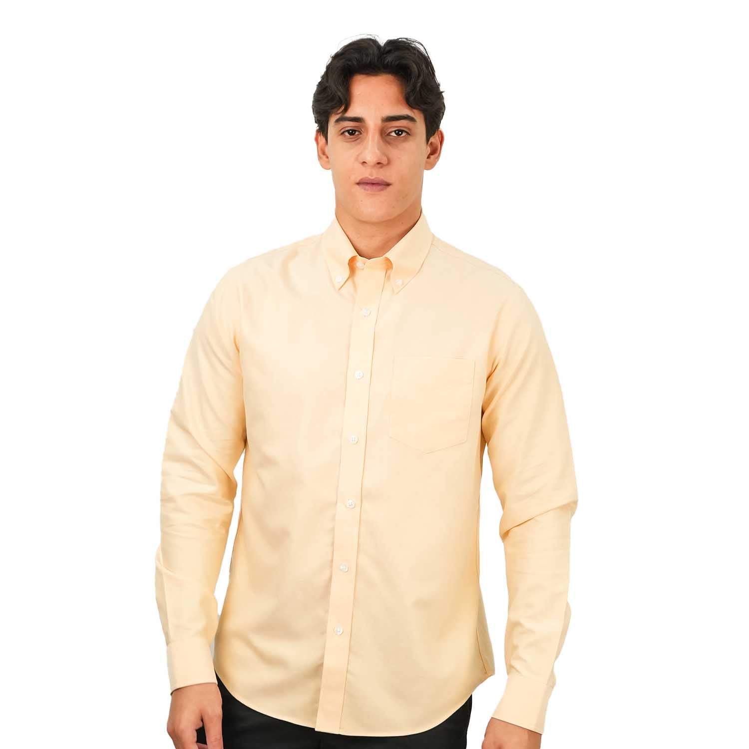 Men's Wrinkle-Free Cotton Oxford Long Sleeve Shirt