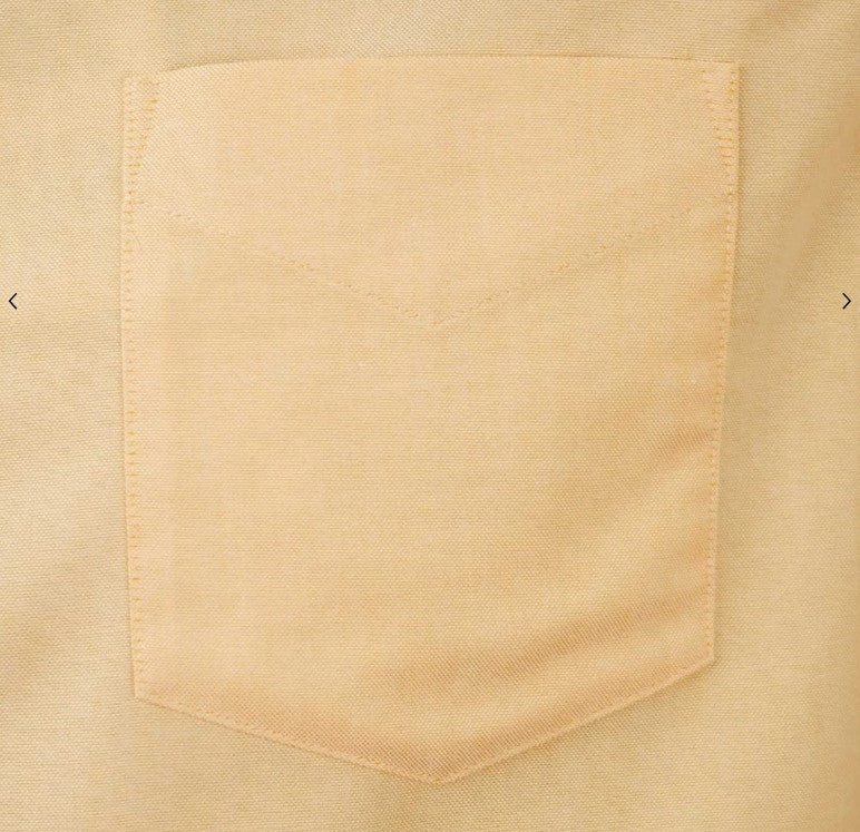 Men's Wrinkle-Free Short Sleeve Cotton Oxford Shirt