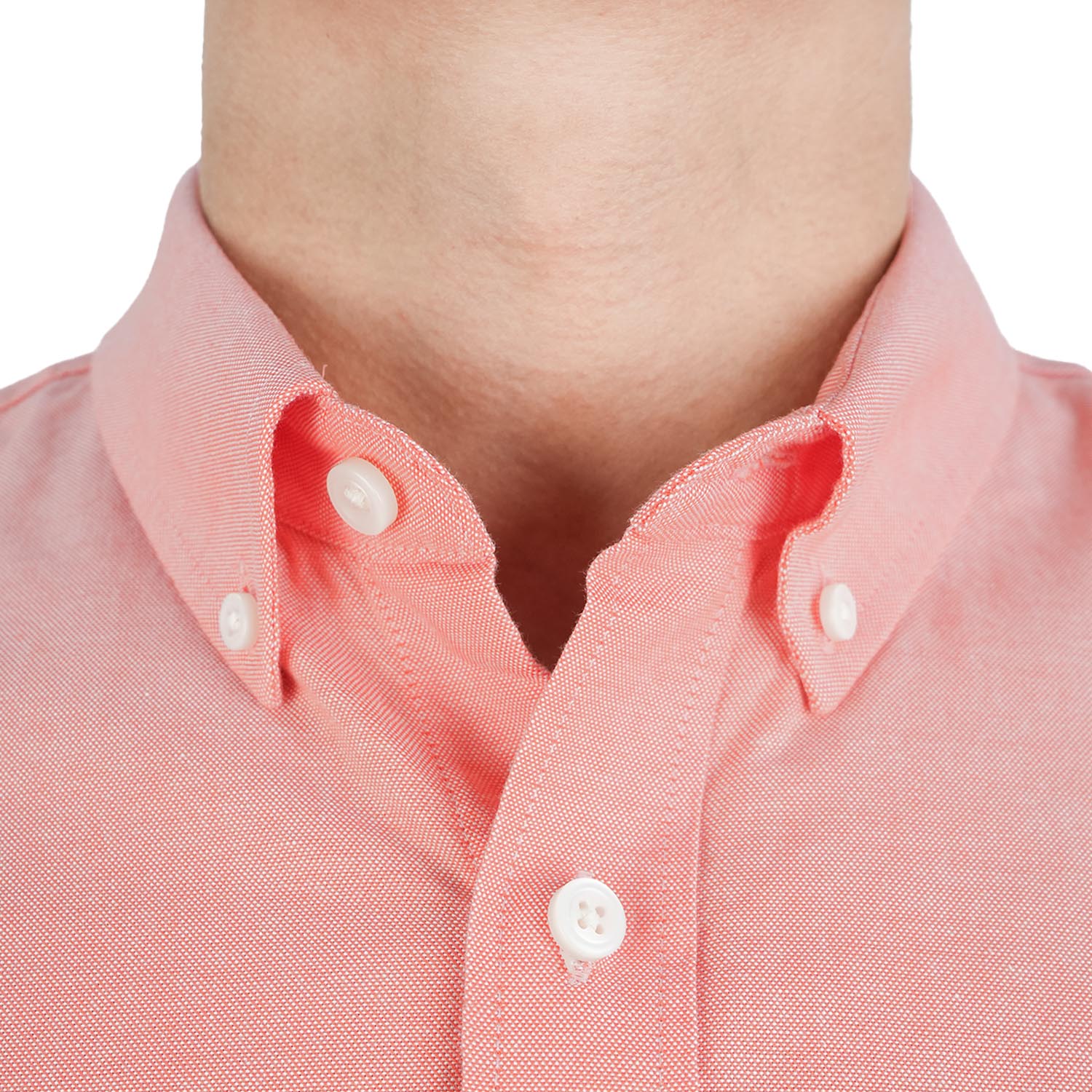 Men's Lion Cotton Oxford Shirt