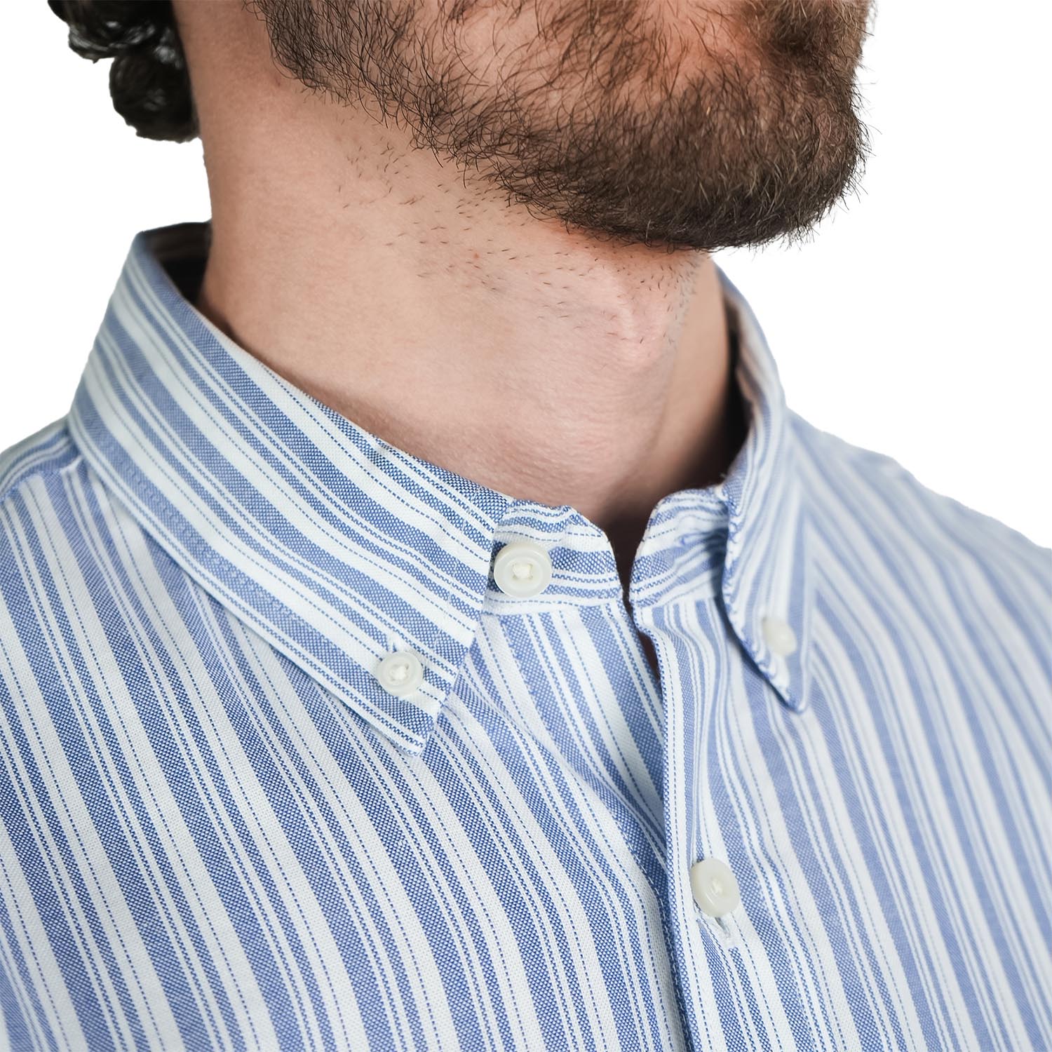 Men's Lion Cotton Oxford Shirt