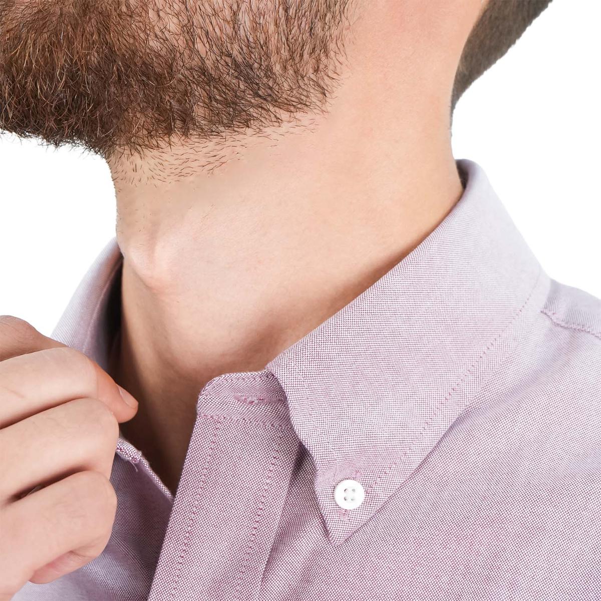 Men's Wrinkle-Free Cotton Oxford Long Sleeve Shirt