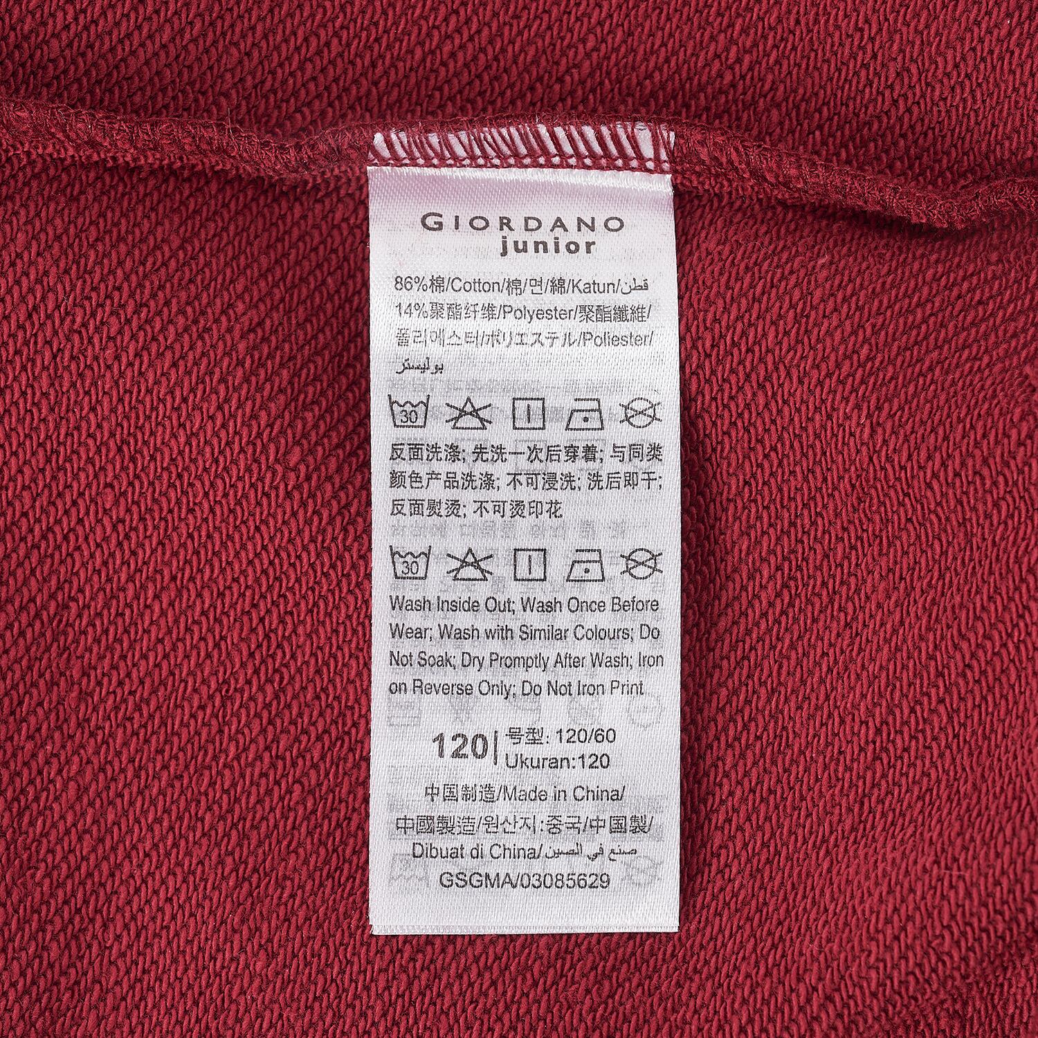 سويت شيرت هاري بوتر للأطفال من القطن والبوليستر - مجموعة طبعة محدودة