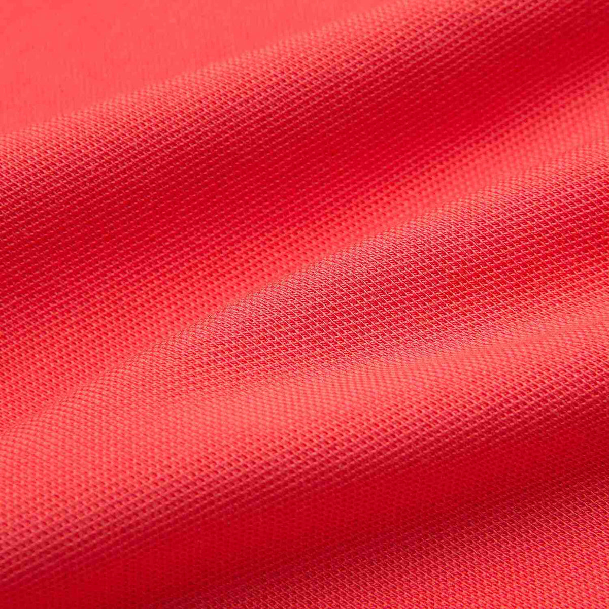 Men’s Slim Fit Napoleon Embroidery Lycra Pique Polo