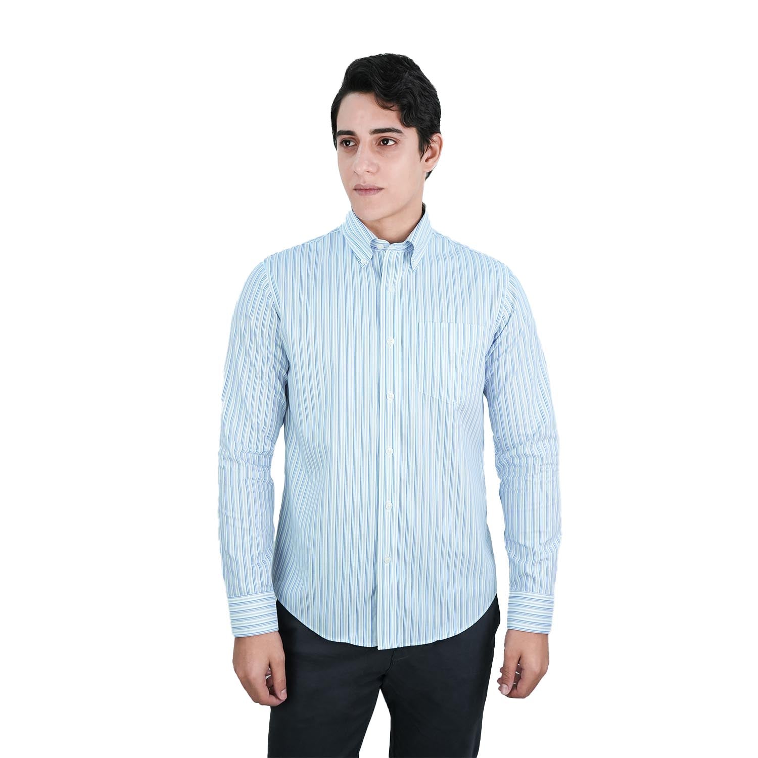 Men's Wrinkle-Free Long Sleeve Cotton Oxford Shirt