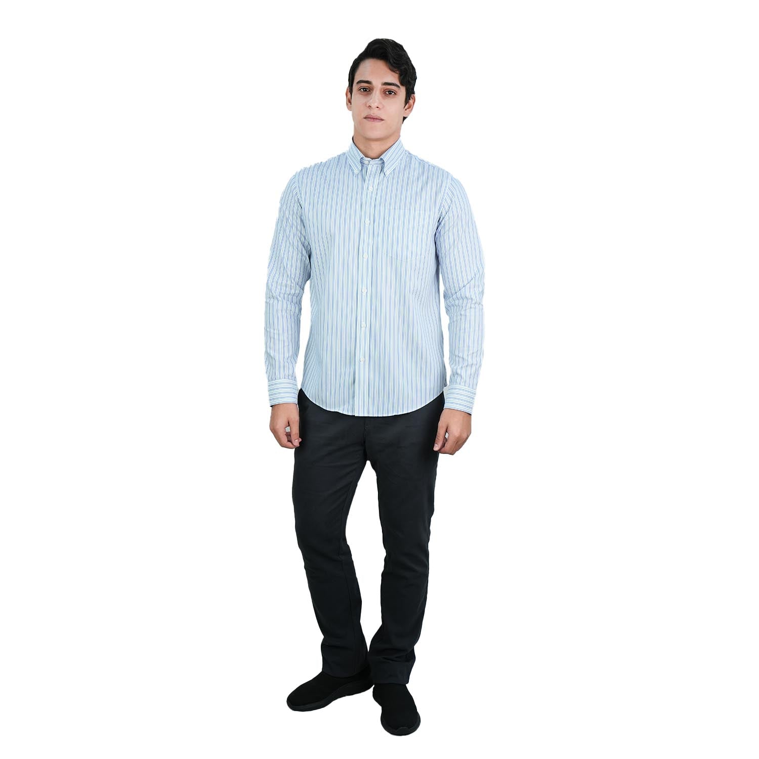 Men's Wrinkle-Free Long Sleeve Cotton Oxford Shirt